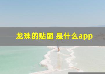 龙珠的贴图 是什么app